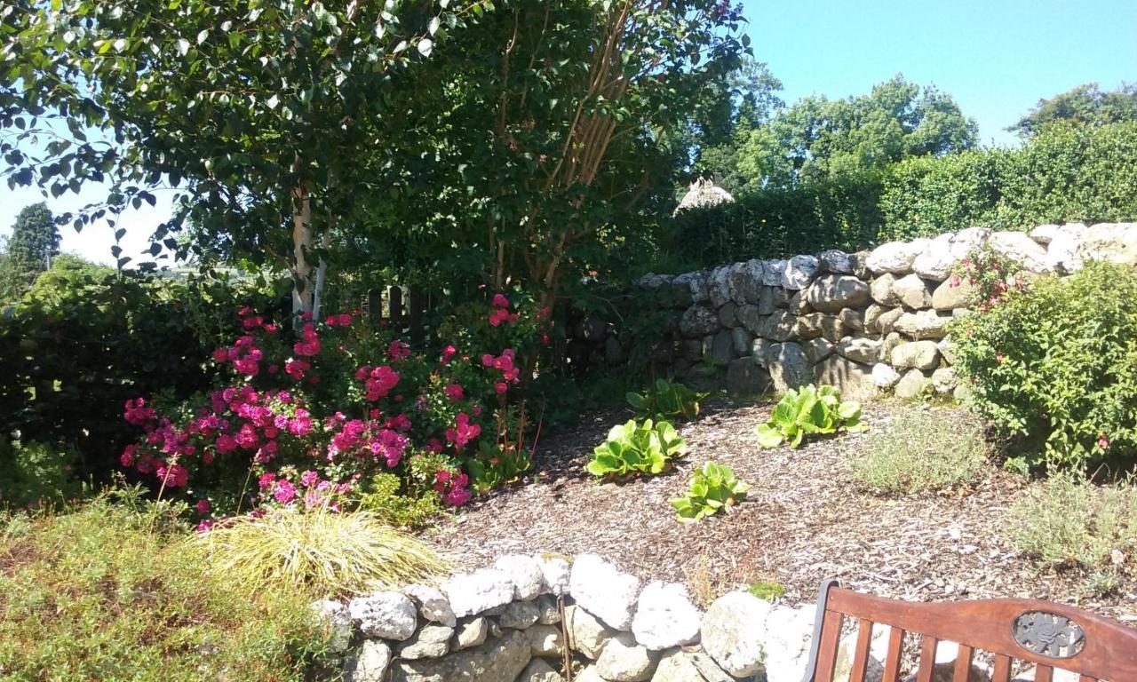Macreddin Rock Bed & Breakfast Aughrim Exterior foto