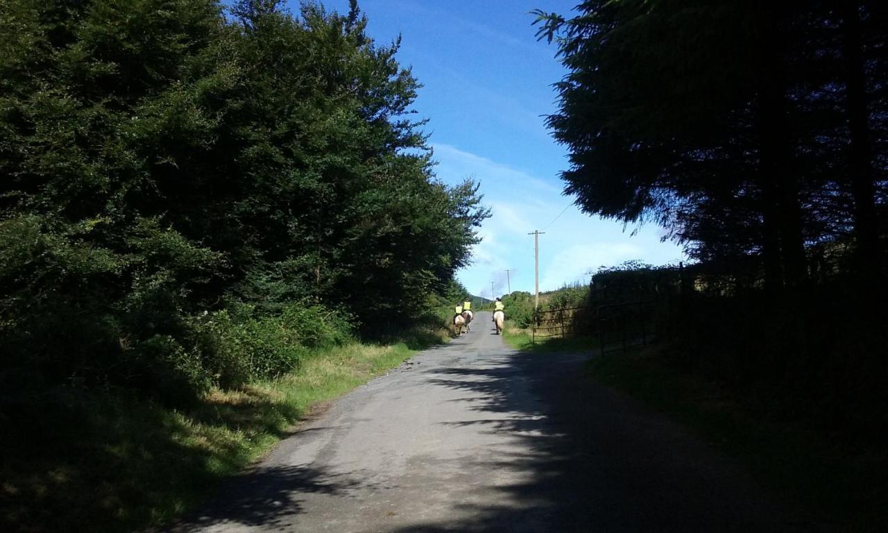 Macreddin Rock Bed & Breakfast Aughrim Exterior foto