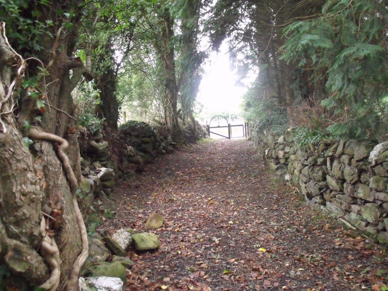 Macreddin Rock Bed & Breakfast Aughrim Exterior foto