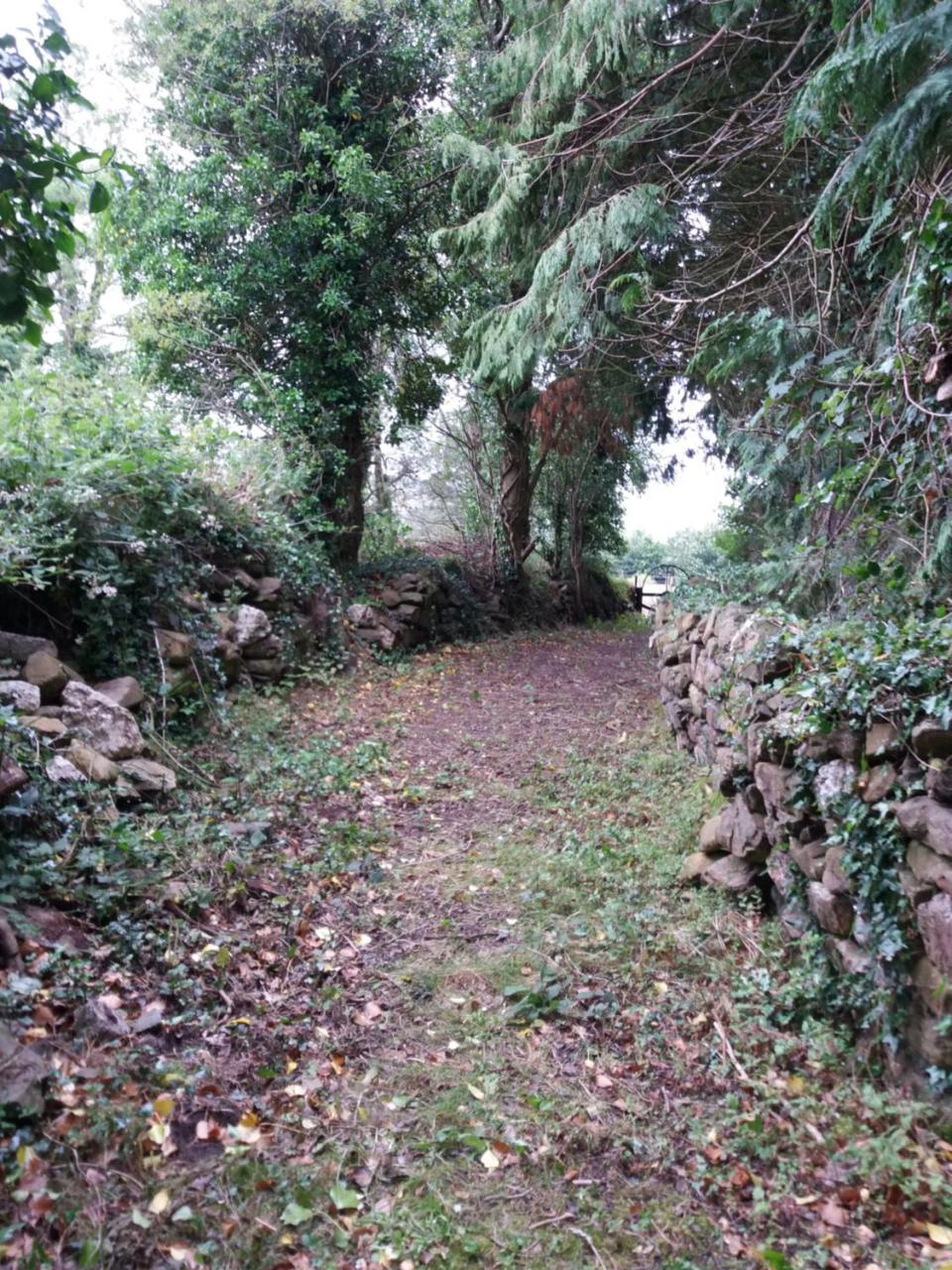 Macreddin Rock Bed & Breakfast Aughrim Exterior foto